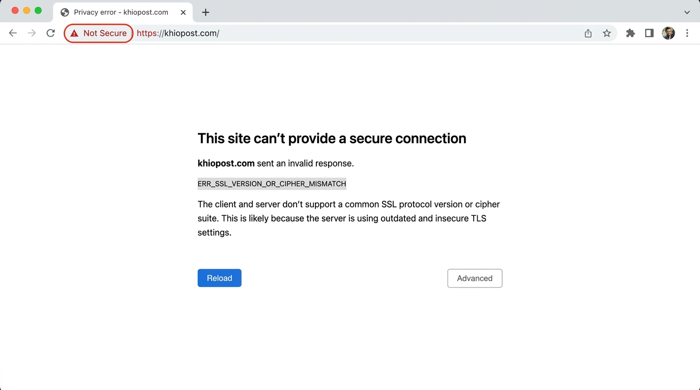 SSL 인증서 오류